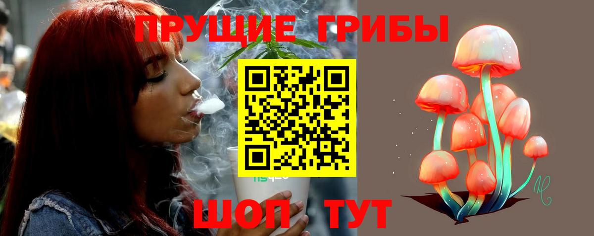 Галлюциногенные грибы прущие грибы  Псилоцибиновые грибы Cubensis  Керчь  хочу наркоту  Вход с VPN 